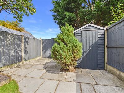 Picture 20